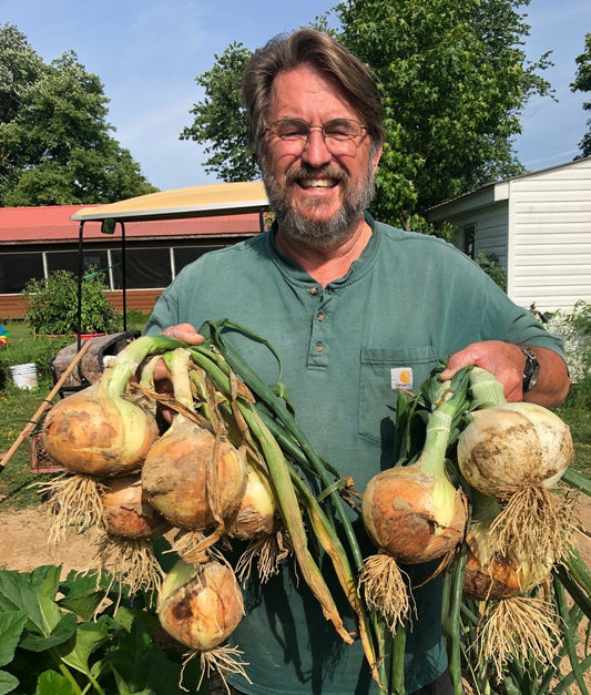 Texas Supersweet Onion