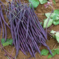 Carminat Bean Seeds online shopping