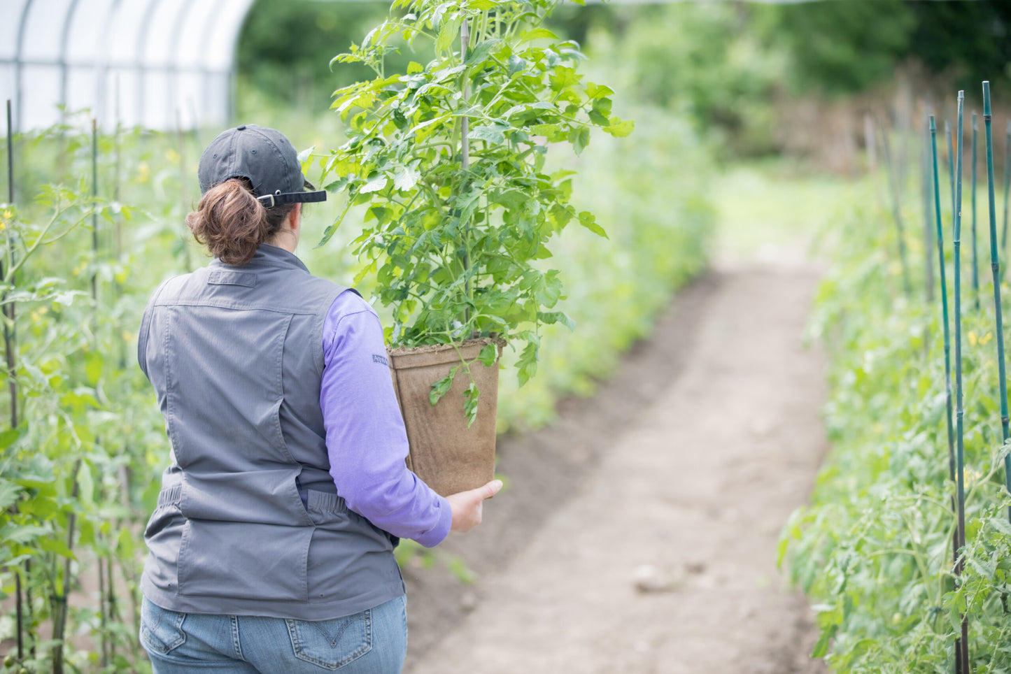 CowPot #11 Tall Square Plantable Pot