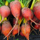 Golden Boy Beet Seeds online shopping