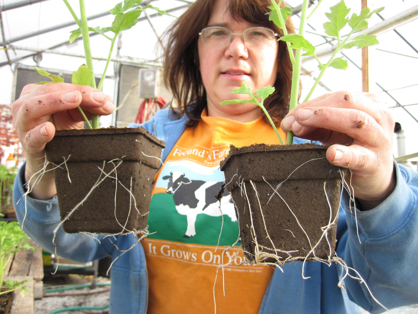 CowPot #4 Square Plantable Pot