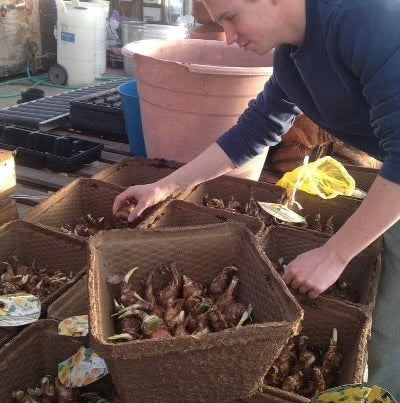 CowPot #12 Square Plantable Pot