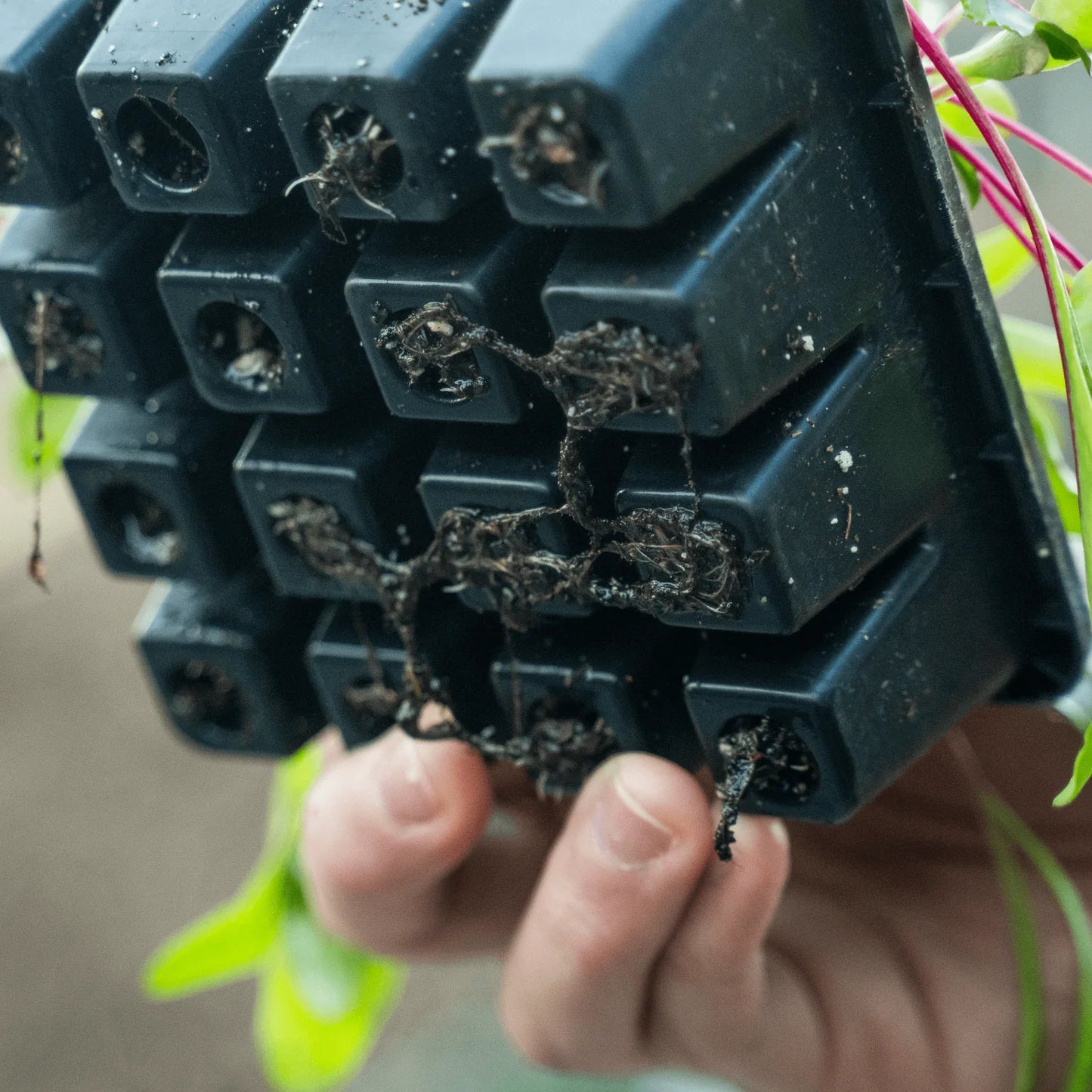 Epic Gardening Reusable Seed Trays