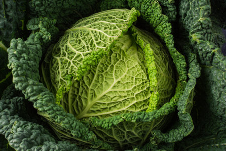 Chieftain Savoy Cabbage