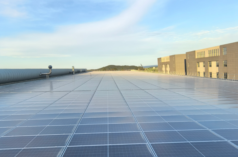 LONGi EcoLife 475-495M PV Module solar energy online shopping
