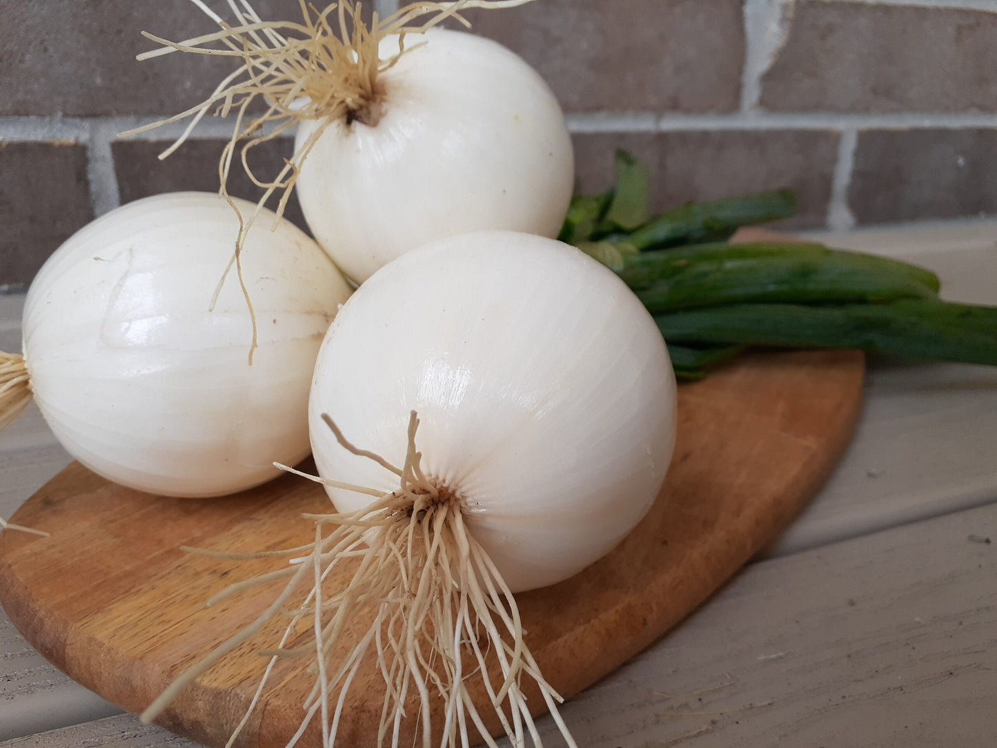 White Sweet Spanish Onion