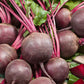 Detroit Supreme Beet Seeds online shopping