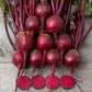Merlin F1 Organic Beet Seeds online shopping