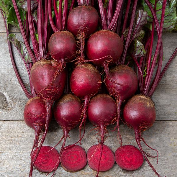 Merlin F1 Organic Beet Seeds online shopping