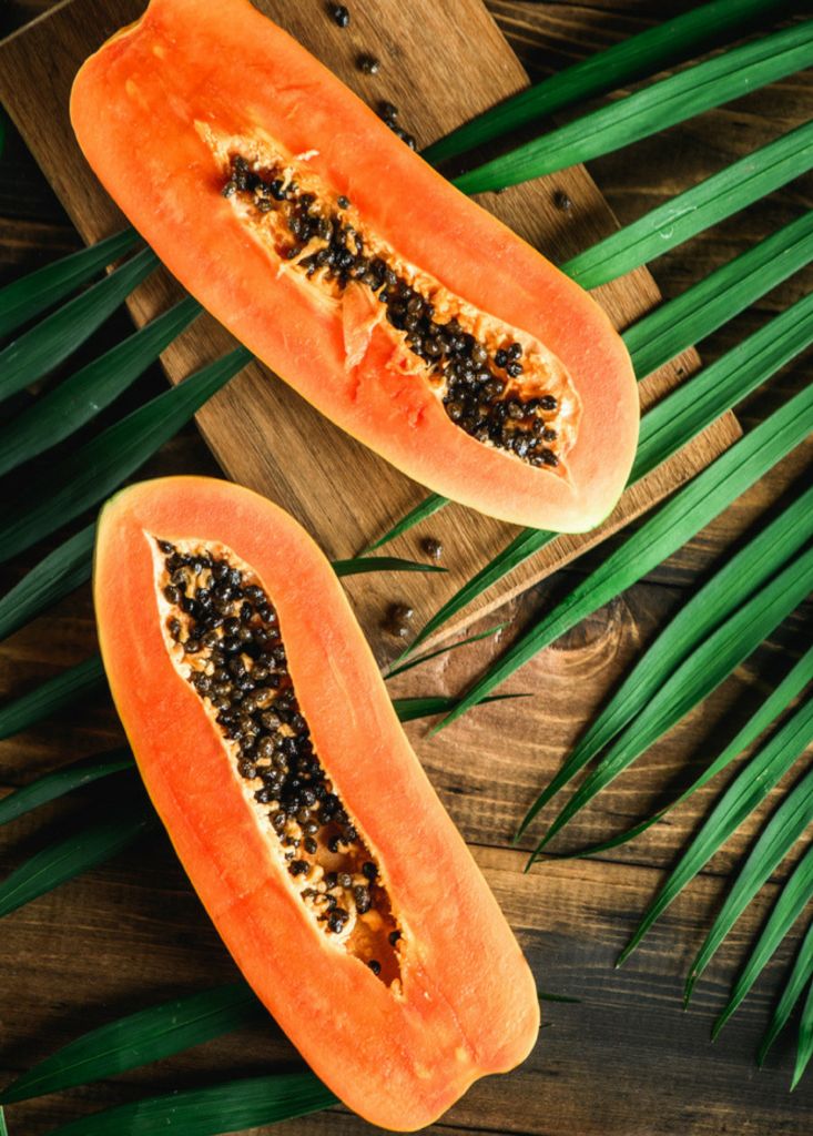 Papaya Tree - Papayer