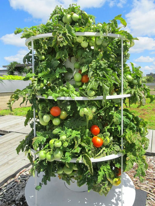 Lyine 24 Pot Vertical Growing Hydroponic Tower with Mechanical Timer