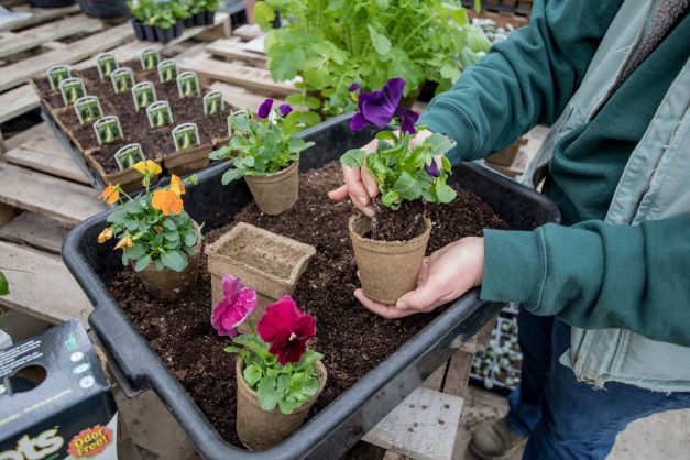 CowPot #3 Round Plantable Pot