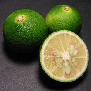 Sudachi Lime Sour Mandarin Plant citrus plant material online shopping