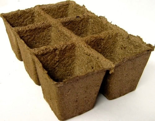 CowPot Plantable #3 Big Six Cell Seeding Tray