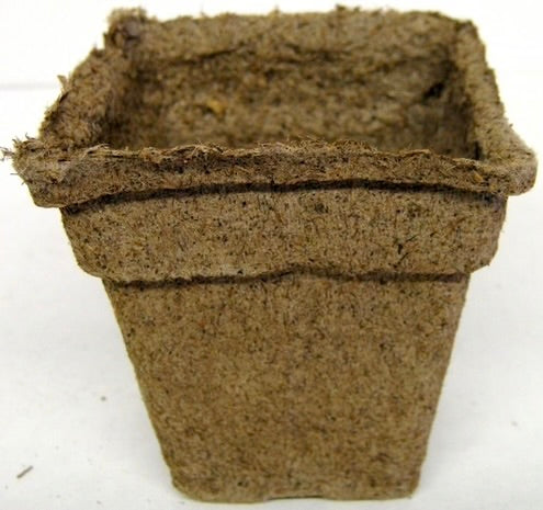 CowPot #3 Square Plantable Pot