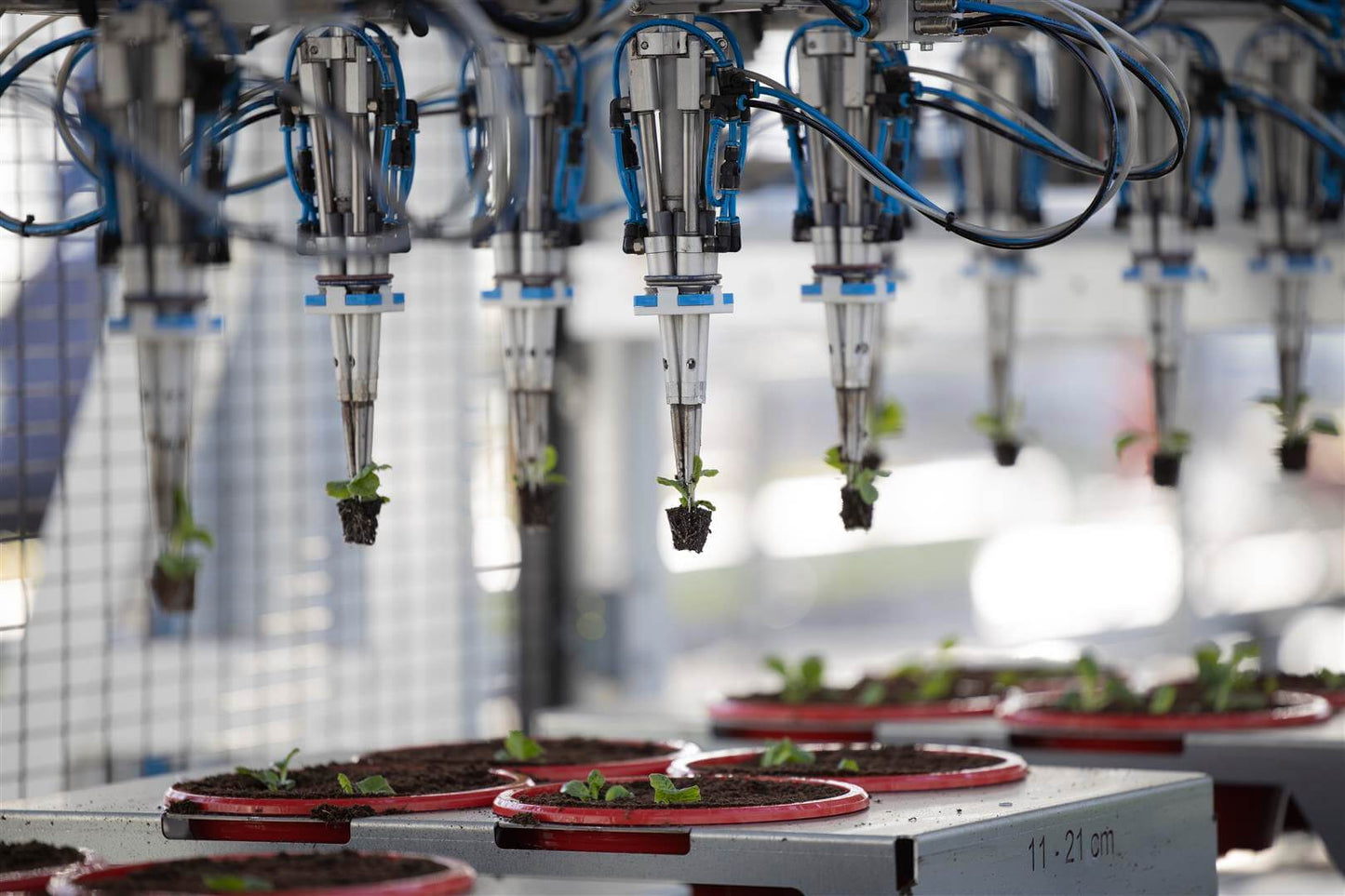 Viscon Pic O Mat Redline Transplanter