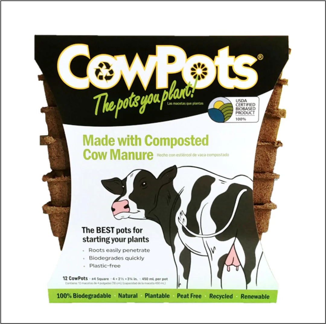CowPot #4 Square Plantable Pot