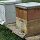 10 Frame Langstroth Beehive Master Pollinator Assembled Beekeeper Kit