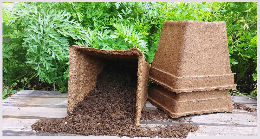 CowPot #5 Square Plantable Pot