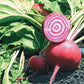 Chioggia Guardsmark Organic Beet Seeds online shopping
