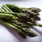 Guelph Millennium F1 Asparagus Seeds online shopping