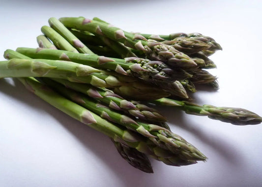 Guelph Millennium F1 Asparagus Seeds online shopping