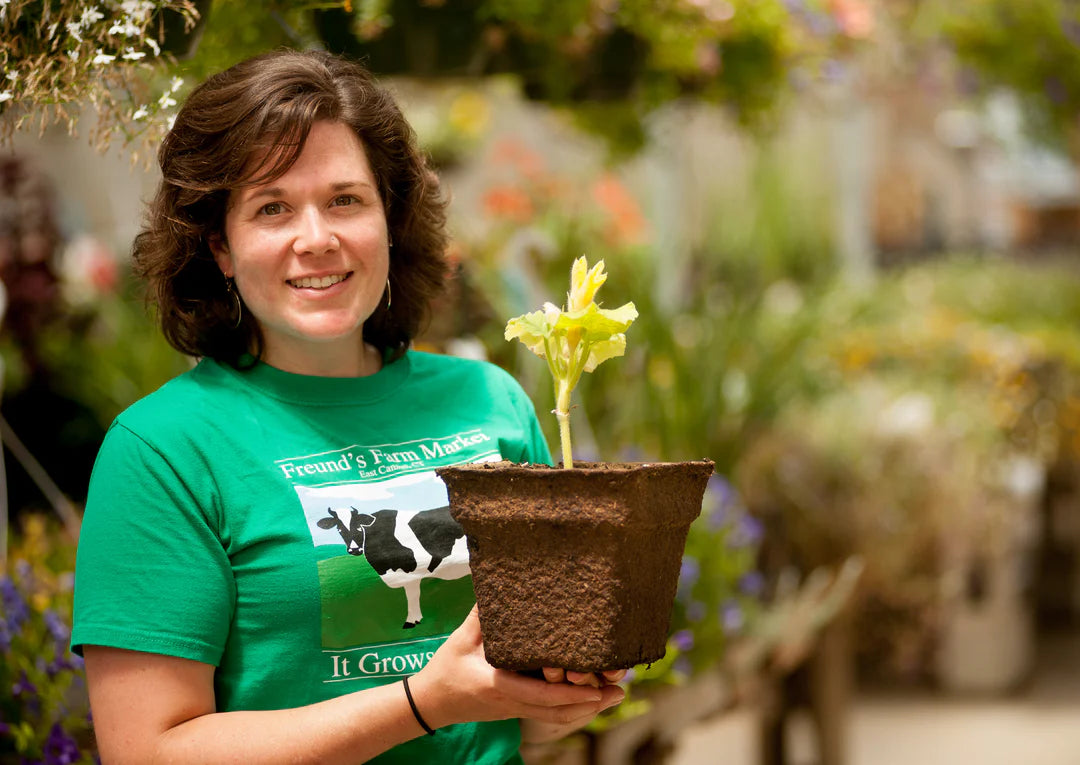 CowPot #7 Square Plantable Pot