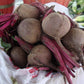 Early Wonder Tall Top Beet Seeds online shopping