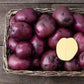 Huckleberry Gold Gourmet Potato
