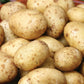 German Butterball Gourmet Potato