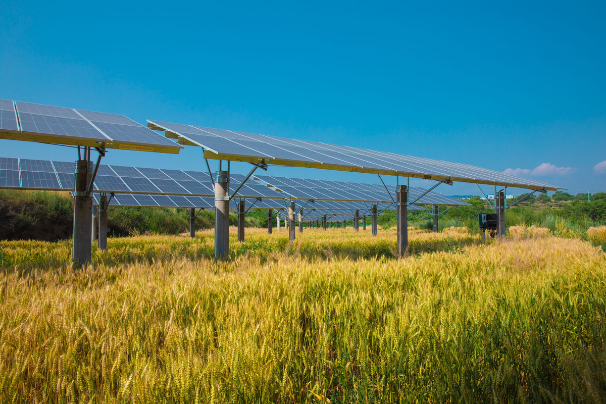 LONGi HI-MO9 Sea Shield 630-670M PV Module