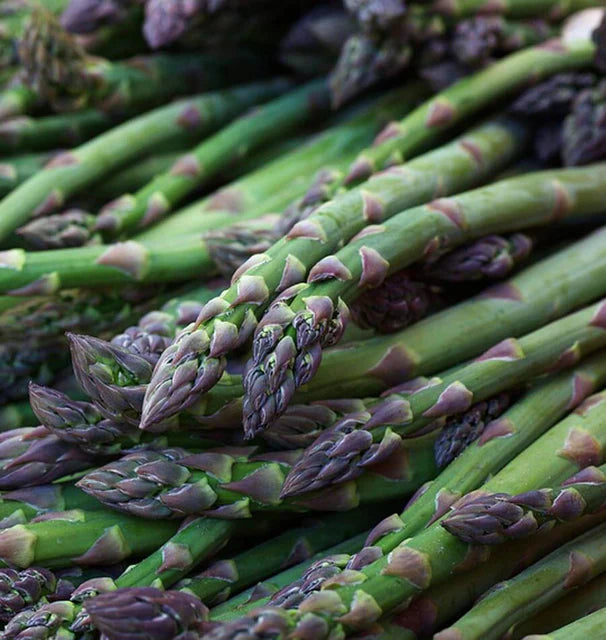 UC157 F2 Asparagus Seeds online shopping
