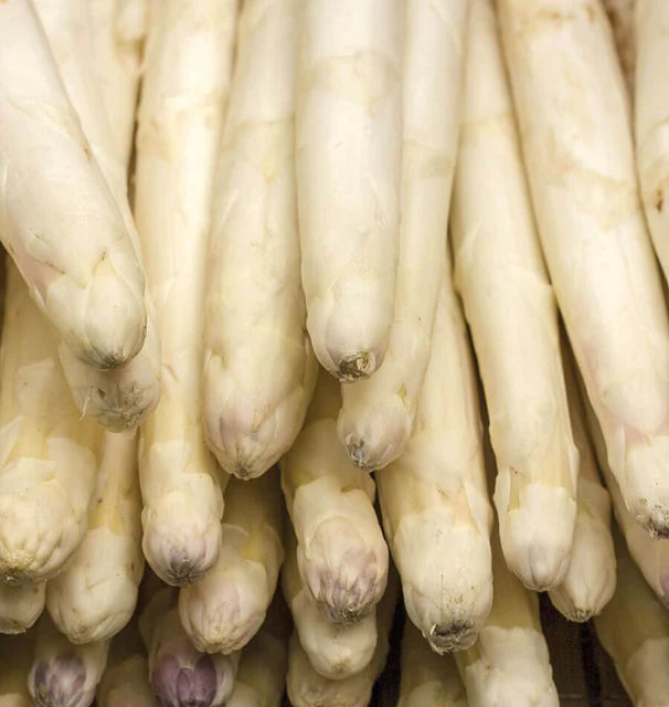 Voltaire Asparagus Seeds online shopping