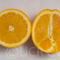 Atwood Navel Orange Budwood citrus plant material online shopping