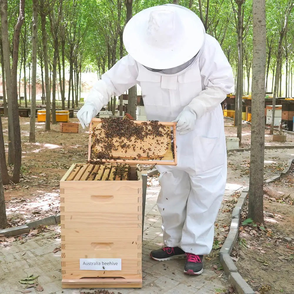 Australian Beehive