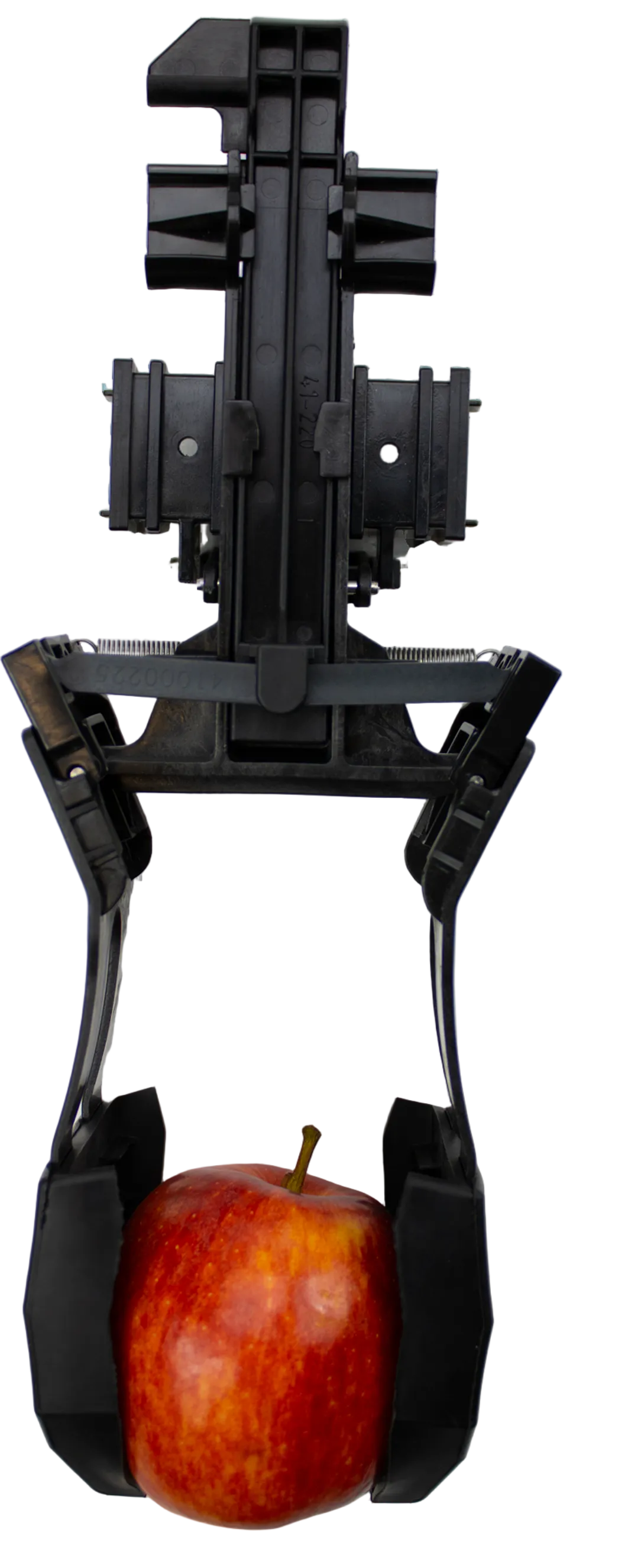 Aweta Apple Sorting and Packing Line