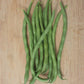 Matilda Pole Bean Seeds online shopping