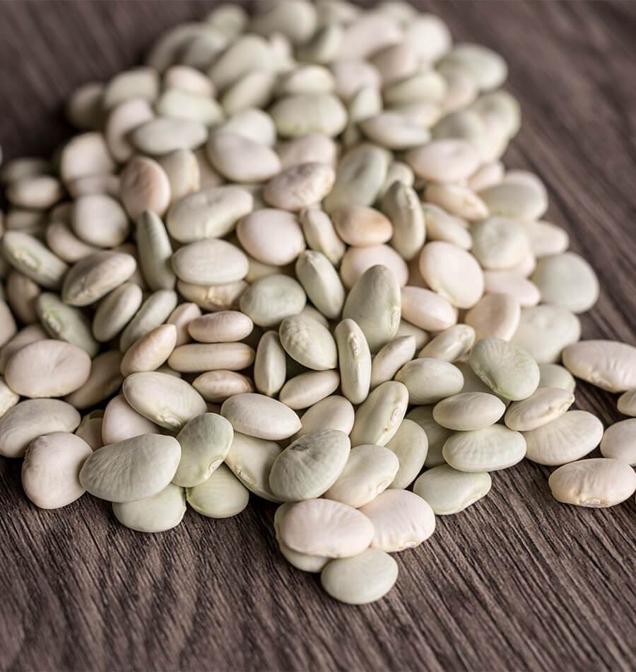 Early Thorogreen Drying Bean Seeds online shopping