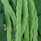 Hilda Pole Bean Seeds online shopping