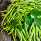 Kentucky Wonder Brown Bean Seeds online shopping