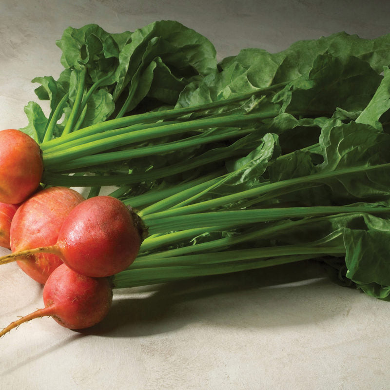 Touchstone Gold Beet Seeds online shopping