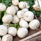 Avalanche Beet Seeds online shopping