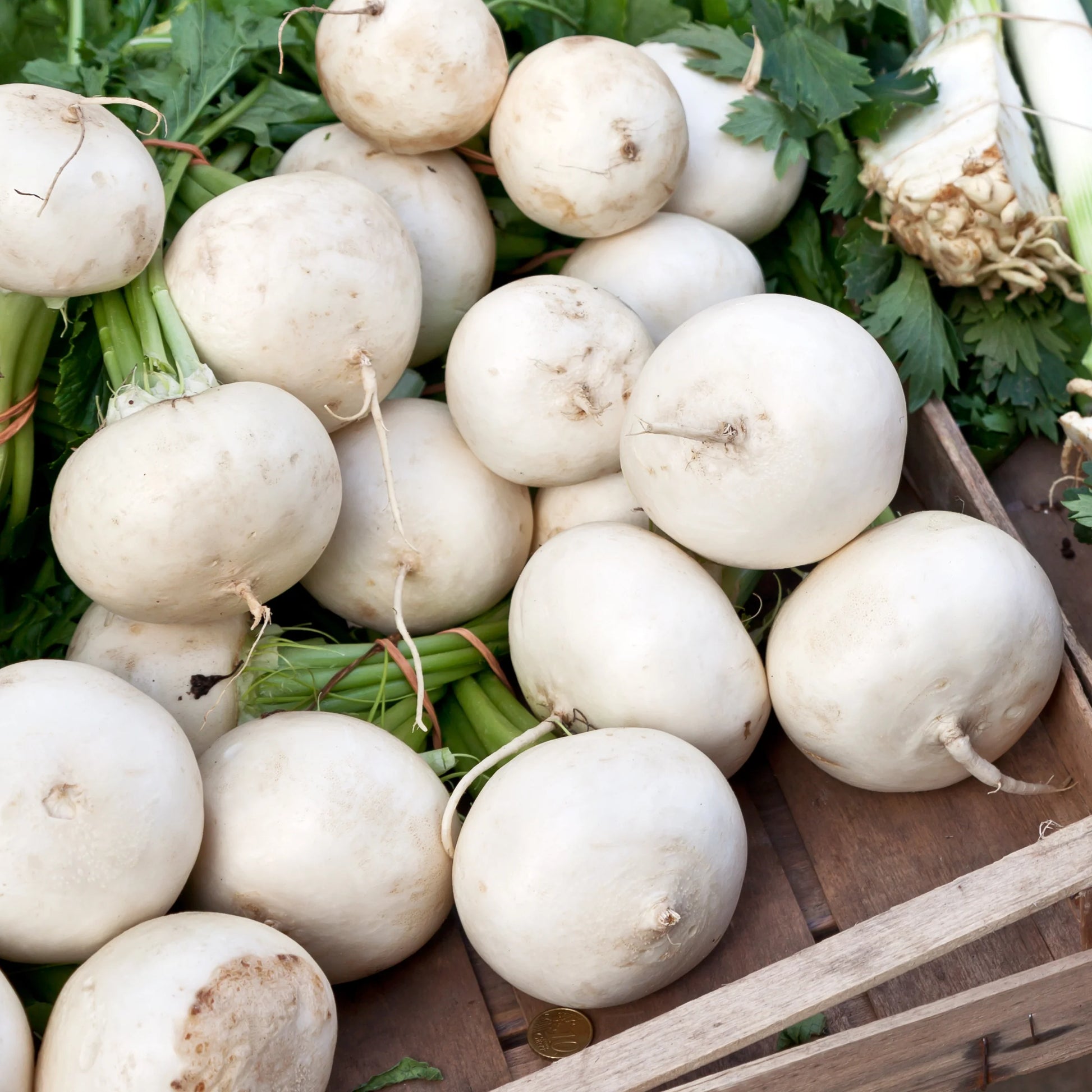 Avalanche Beet Seeds online shopping