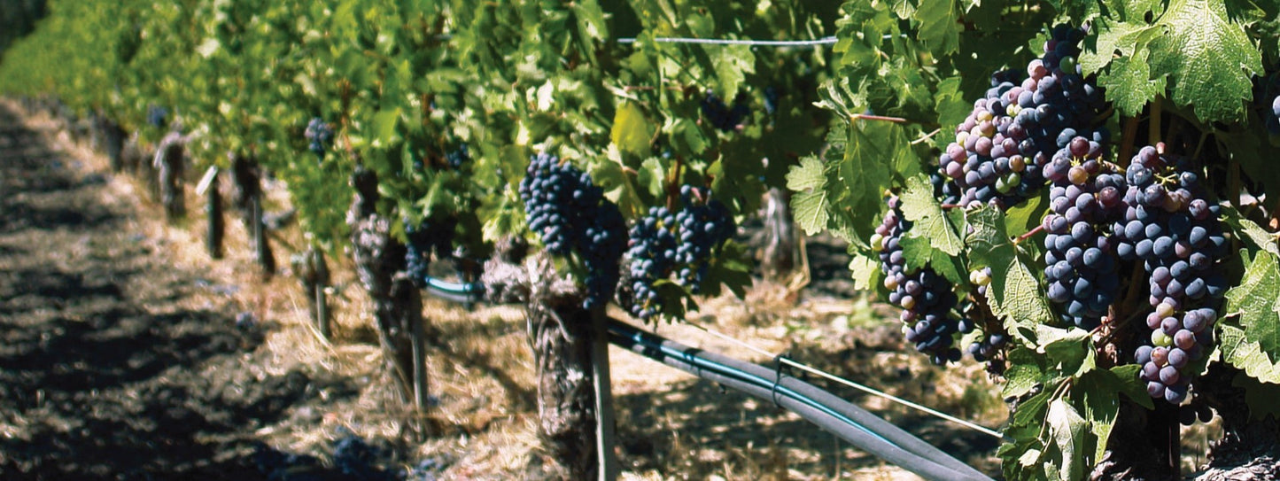 Toro BlueLine® PC Pressure Compensating Dripline 0.42 gph, 60 cm Spaced Emitters