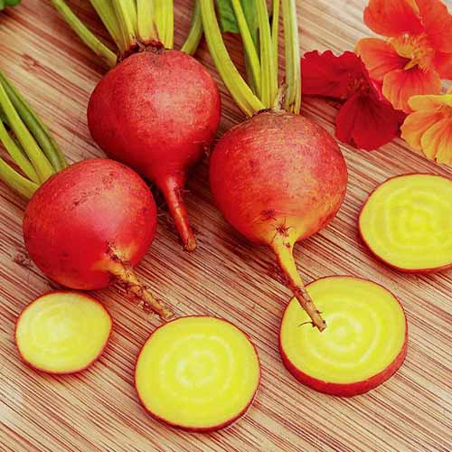 Golden Boy Beet Seeds online shopping