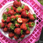 Bounty Late Season Strawberry