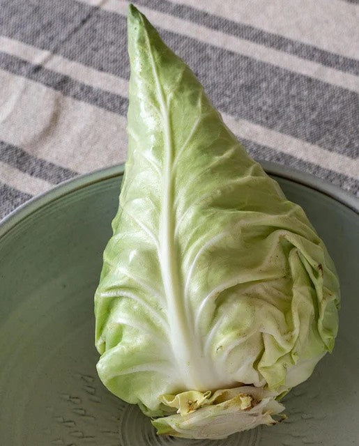 Caraflex F1 Cabbage