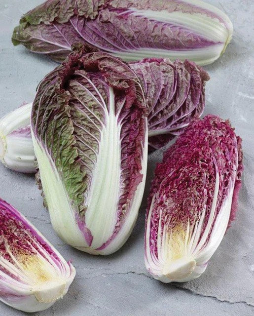 Red Scarvita Napa Cabbage