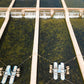 Brown Trout Eggs ZA\ aquaculture online shopping