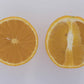 Campbell Nucellar Valencia Orange Budwood citrus plant material online shopping